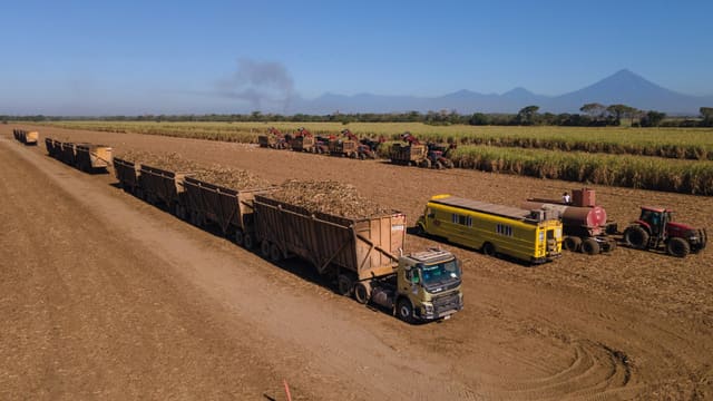 Azúcar cruda de caña lista para refinación industrial