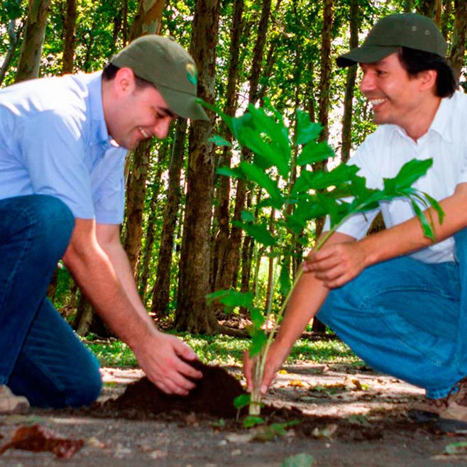 Ambiental-Inicio